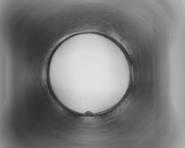 X0000101451500200807280929