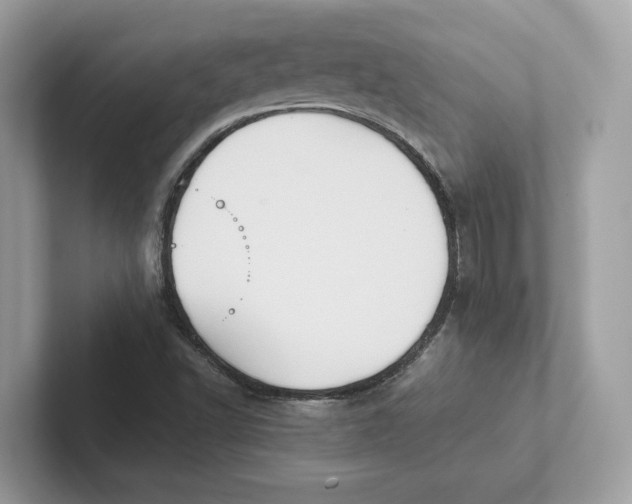 X0000101451502200807280929