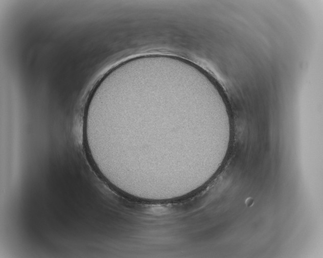 X0000101451504200807280929