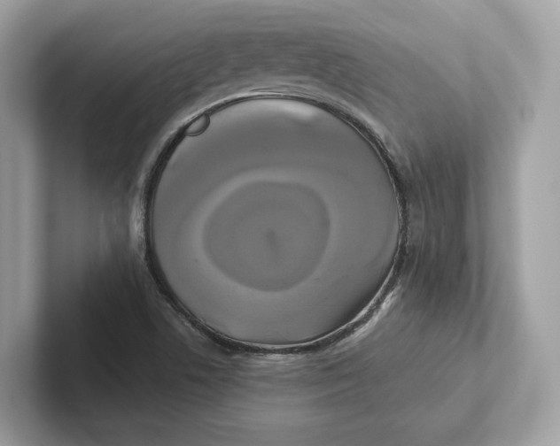 X0000101451506200807280929