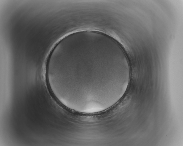 X0000101451508200807280929