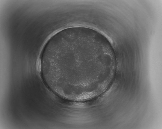 X0000101451509200807280929