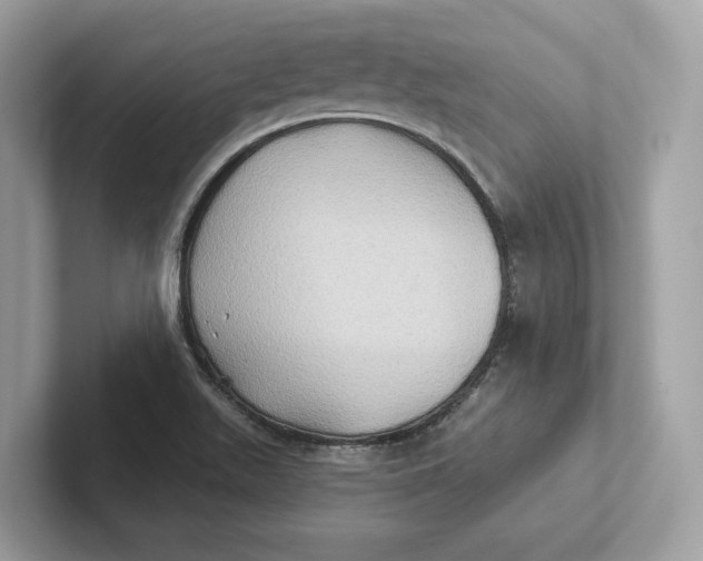 X0000101451511200807280929