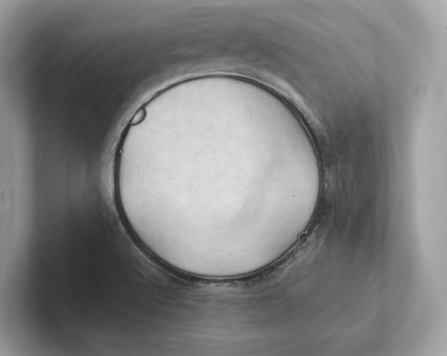 X0000101451512200807280929