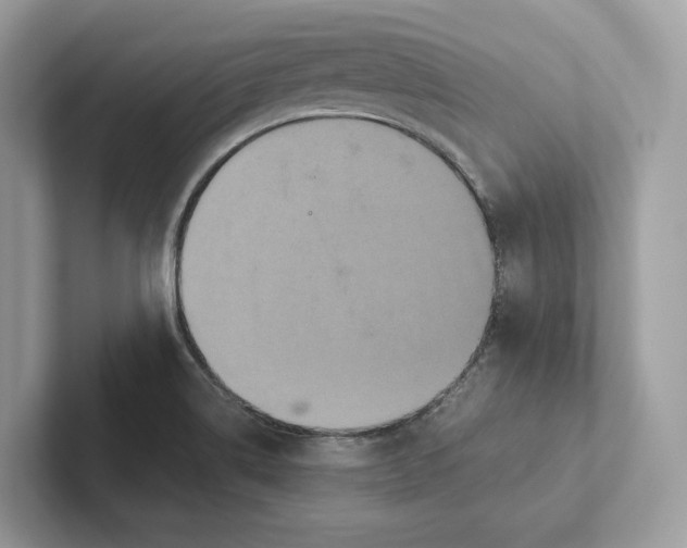 X0000101451514200807280929