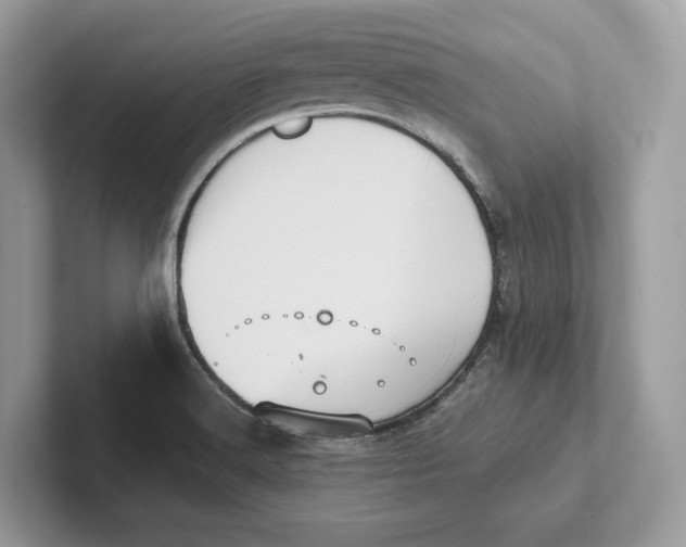 X0000101451516200807280929