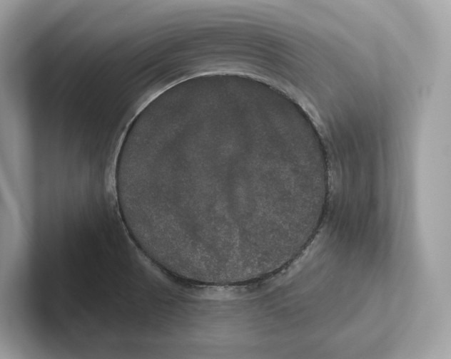 X0000101451521200807280929