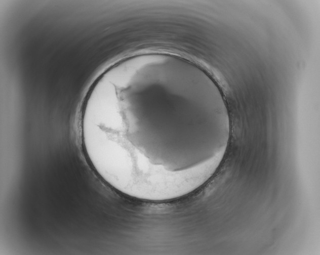 X0000101451522200807280929