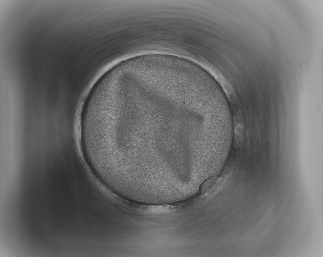 X0000101451523200807280929