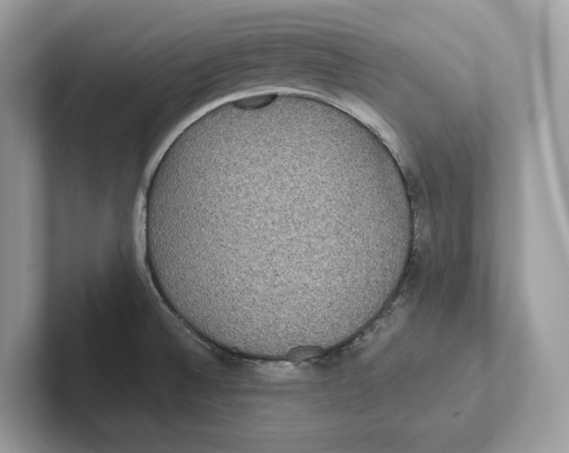 X0000101451524200807280929