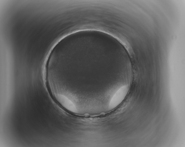 X0000101451527200807280929