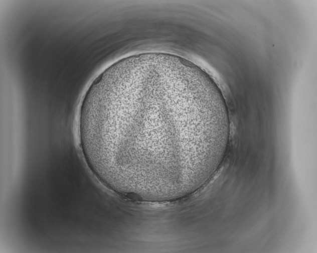 X0000101451528200807280929