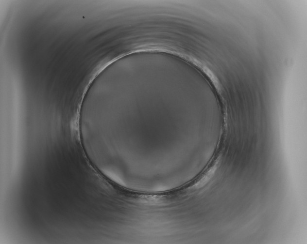 X0000101451529200807280929