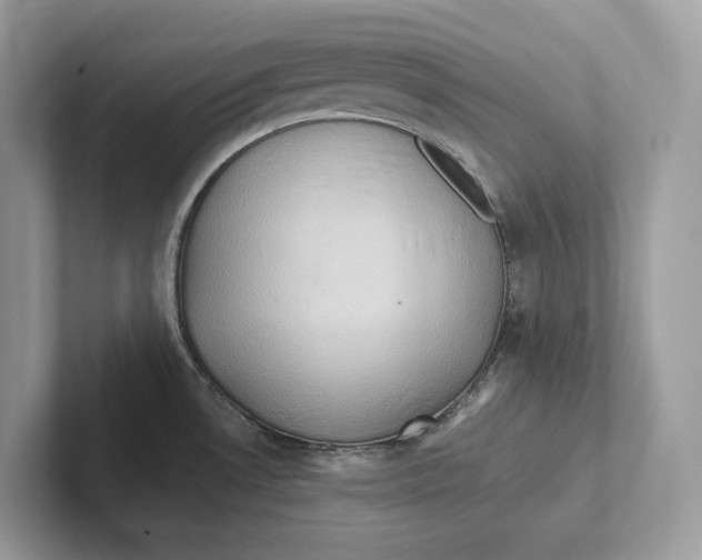 X0000101451530200807280929