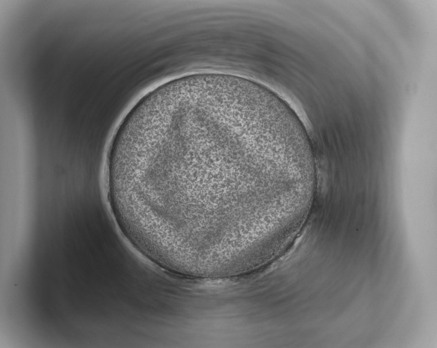 X0000101451531200807280929