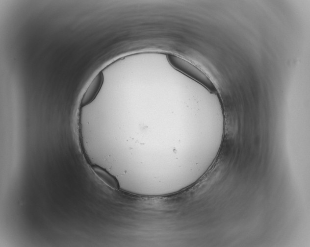 X0000101451532200807280929