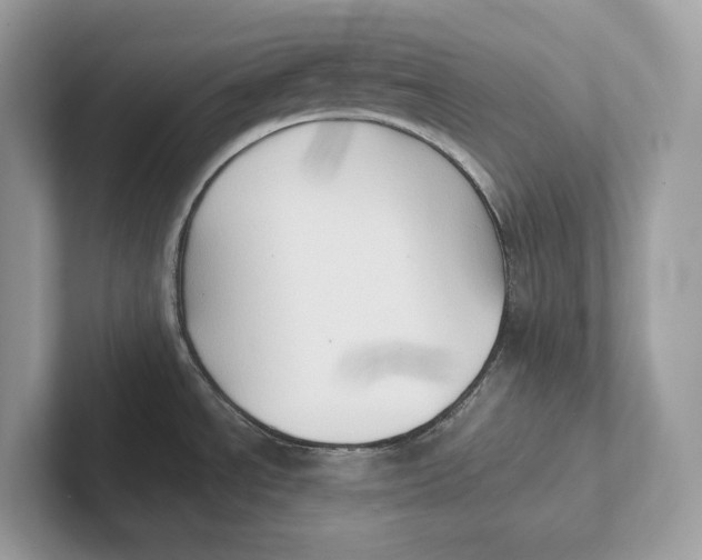 X0000101451534200807280929