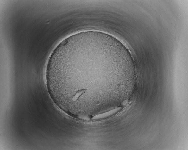 X0000101451535200807280929