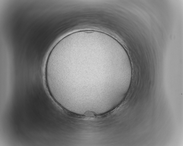 X0000101451536200807280929