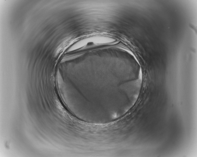 X0000101450002200808041029