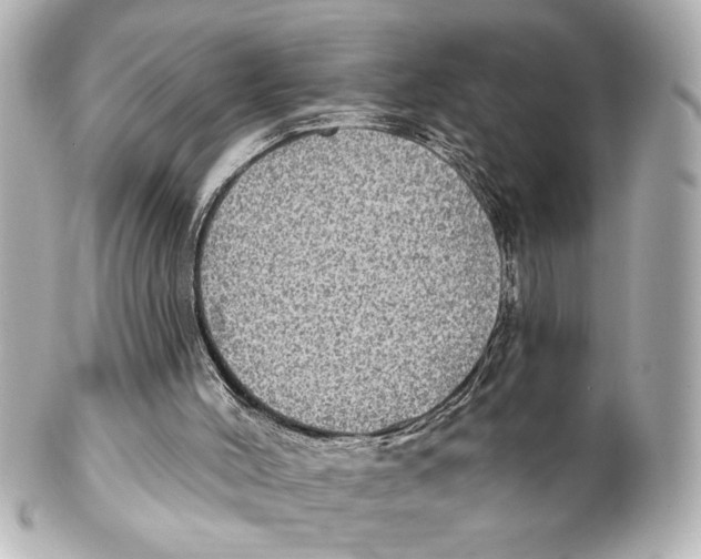 X0000101450004200808041029