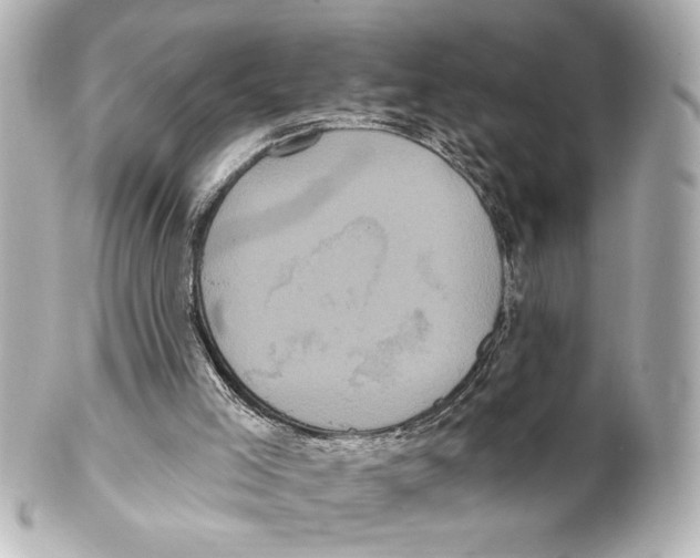 X0000101450005200808041029