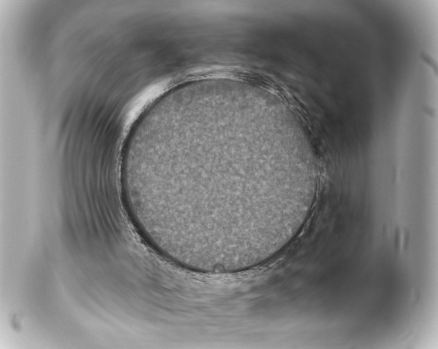 X0000101450006200808041029