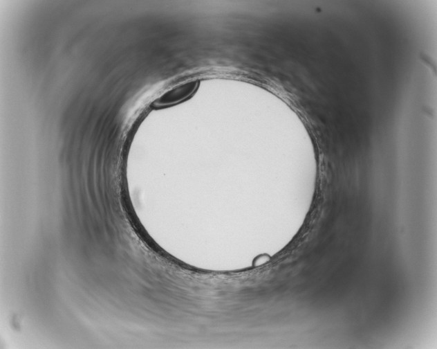 X0000101450007200808041029