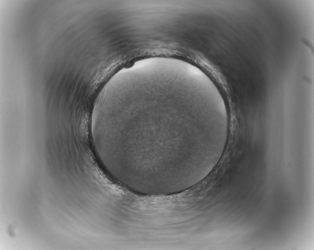 X0000101450009200808041029