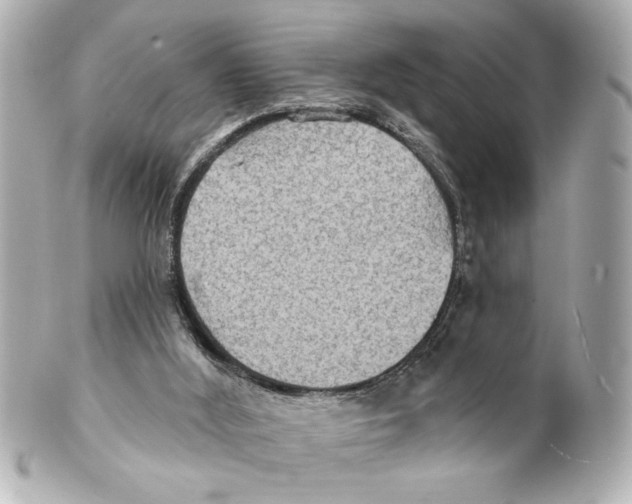 X0000101450012200808041029