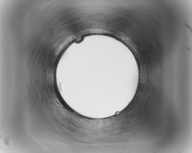 X0000101450015200808041029