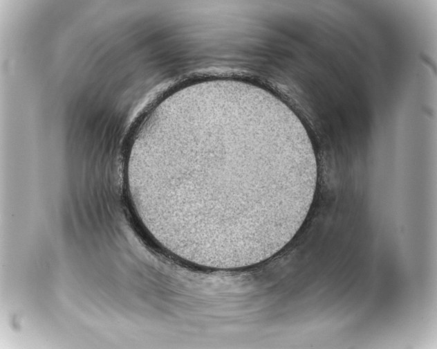 X0000101450016200808041029