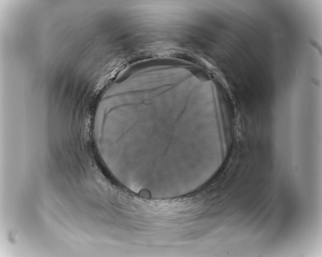 X0000101450018200808041029