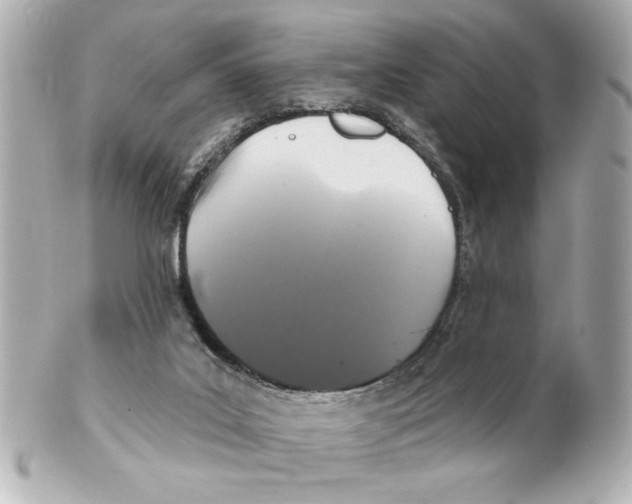 X0000101450019200808041029