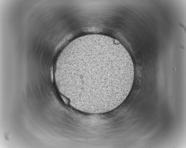 X0000101450020200808041029