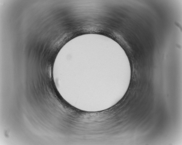 X0000101450021200808041029