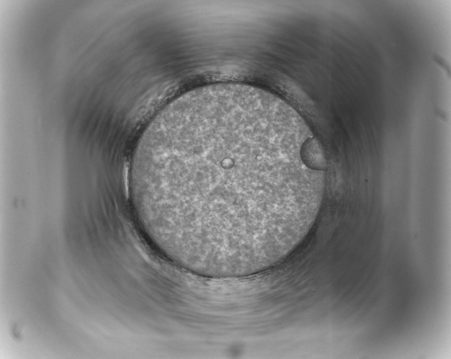 X0000101450022200808041029