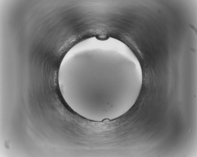 X0000101450023200808041029