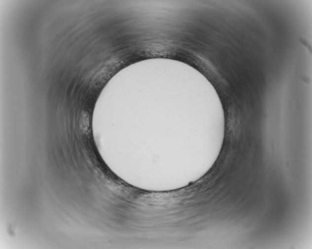 X0000101450025200808041029