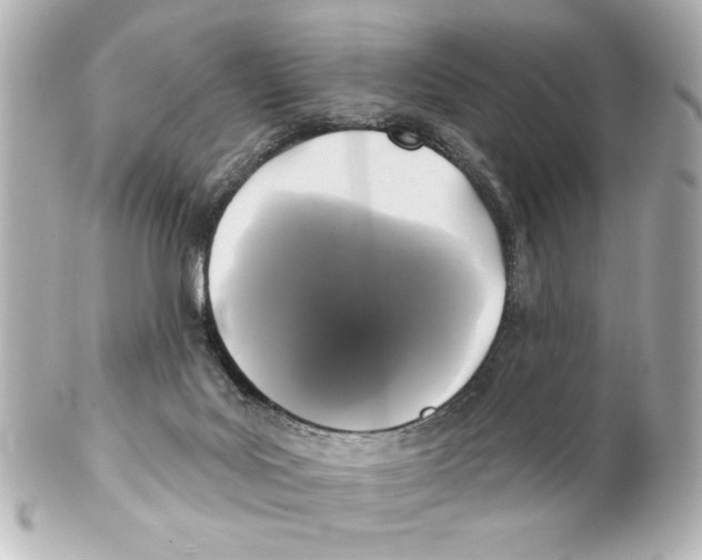 X0000101450027200808041029