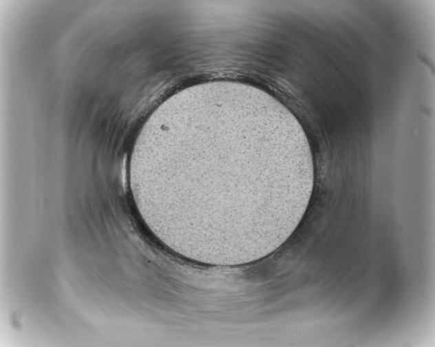 X0000101450028200808041029