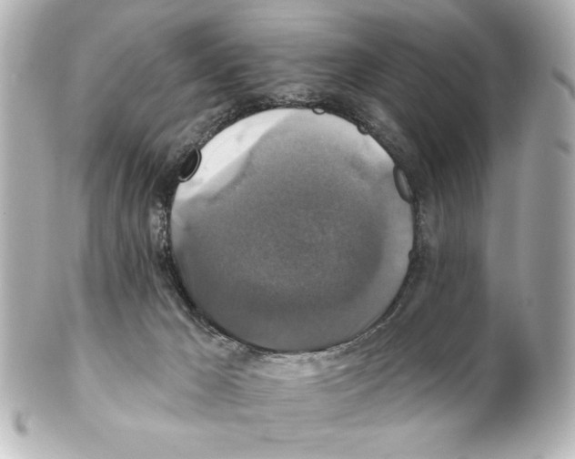 X0000101450029200808041029