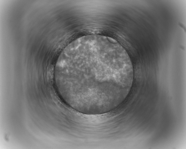 X0000101450030200808041029