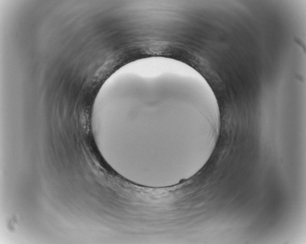 X0000101450031200808041029