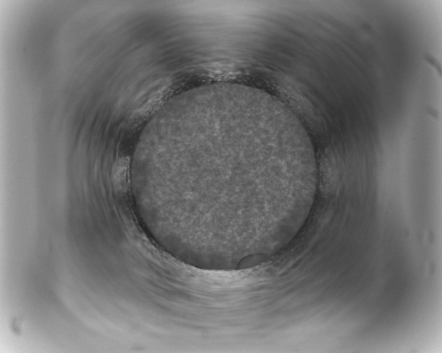 X0000101450034200808041029