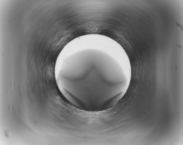 X0000101450035200808041029