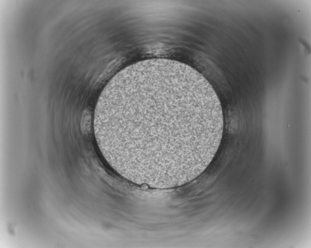 X0000101450036200808041029