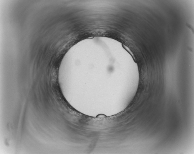 X0000101450037200808041029