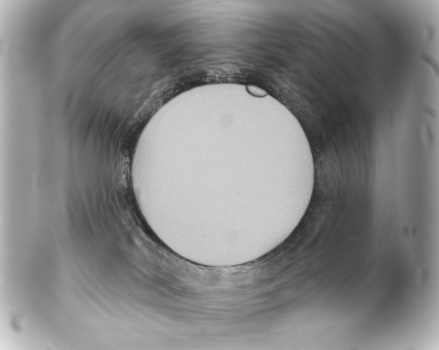 X0000101450038200808041029