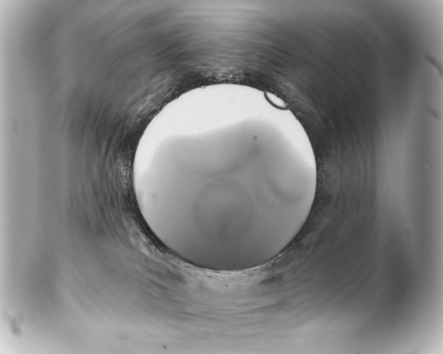 X0000101450039200808041029